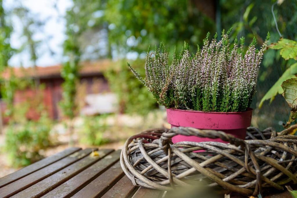Spacious Wooden Cottage With Infra-Red Sauna At Veluwe Putten Bagian luar foto